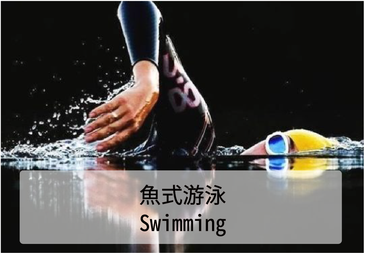 成人游泳 Swimming